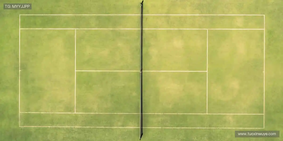 🚀一键预约,不错过任何一场巅峰对决!